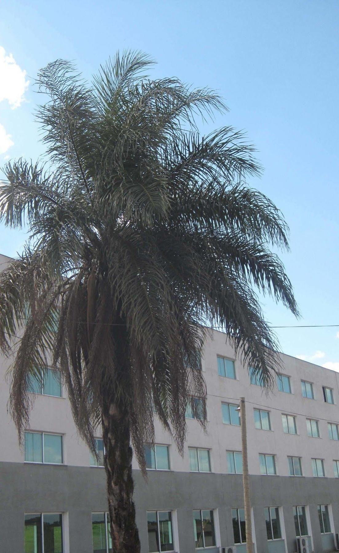 Hotel Mirante Sao Bras São Brás do Suaçuí Buitenkant foto